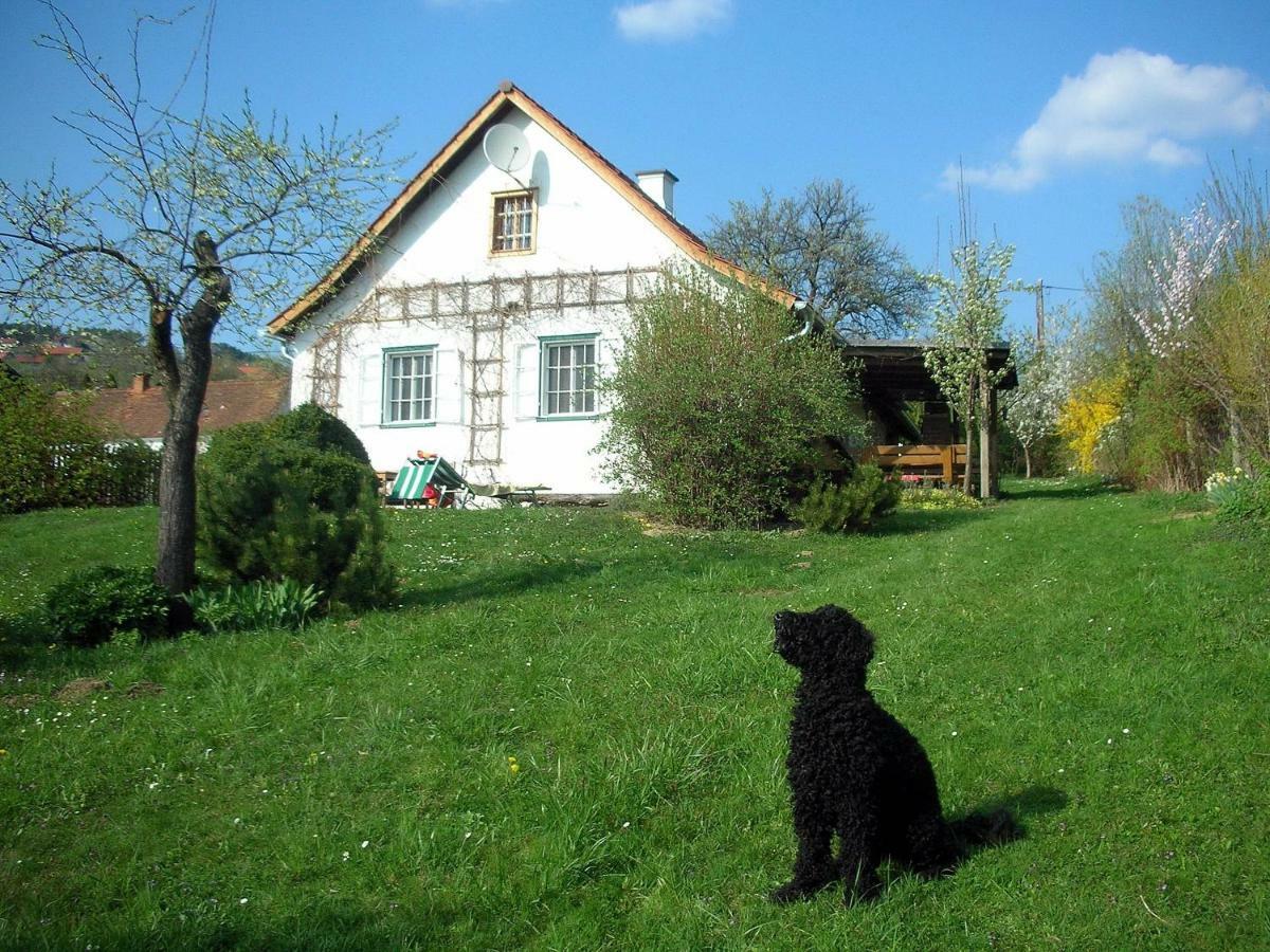 Beim Schachnerhaus Villa Pöllauberg Eksteriør billede